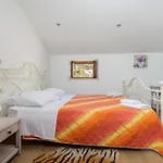 Denis Village In Istria For 28 People Pet Friendly Complex Of 4 Stone 布泽特