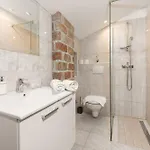 Denis Village In Istria For 28 People Pet Friendly Complex Of 4 Stone 别墅 *
