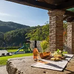 别墅 Denis Village In Istria For 28 People Pet Friendly Complex Of 4 Stone
