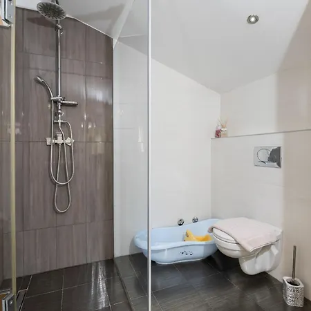 Denis Village In Istria For 28 People Pet Friendly Complex Of 4 Stone Vila *