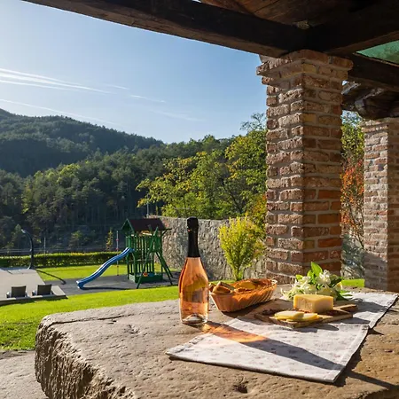 Vila Denis Village In Istria For 28 People Pet Friendly Complex Of 4 Stone